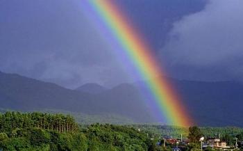 9.4:350:217:0:0:niji:center:1:1::