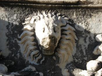 20.4:350:263:0:0:DSC00906:center:1:1:アニマル・スピリット: