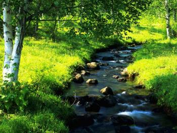 28.5:350:263:0:0:natural:center:1:1:大自然は神様の化身・・・　＾－＾　　ありがとうございます。: